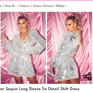 Silver Sequin Long Sleeve Tie Dress